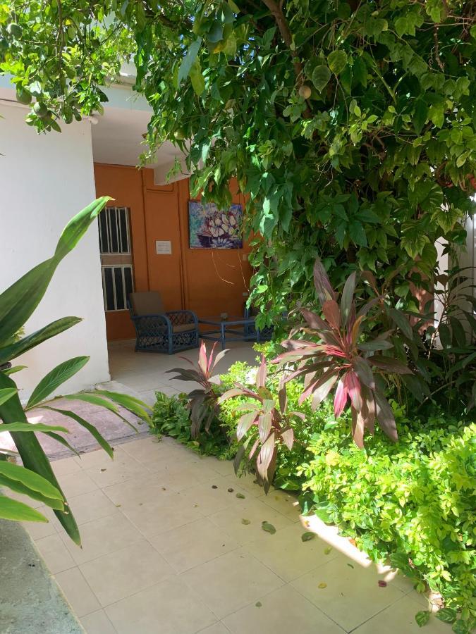 Casa Centro 70 Hotel Mérida Eksteriør billede